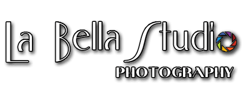 Best Wedding photographers in Atlanta, New York, Chicago, Houston, Dallas, Tampa Bay, Orlando, and California